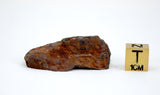 24.40g Acapulcoite Primitive Achondrite Meteorite  I NWA 17906