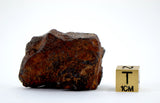 24.40g Acapulcoite Primitive Achondrite Meteorite  I NWA 17906
