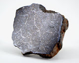 24.40g Acapulcoite Primitive Achondrite Meteorite  I NWA 17906
