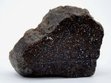 50.88g Acapulcoite Primitive Achondrite Meteorite  I NWA 17906