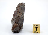 50.88g Acapulcoite Primitive Achondrite Meteorite  I NWA 17906
