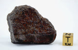 50.88g Acapulcoite Primitive Achondrite Meteorite  I NWA 17906