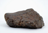 50.88g Acapulcoite Primitive Achondrite Meteorite  I NWA 17906