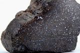 50.88g Acapulcoite Primitive Achondrite Meteorite  I NWA 17906