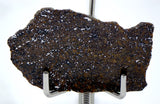 6.71g Acapulcoite Primitive Achondrite Meteorite  I NWA 17906