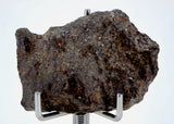 6.71g Acapulcoite Primitive Achondrite Meteorite  I NWA 17906