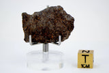 6.71g Acapulcoite Primitive Achondrite Meteorite  I NWA 17906
