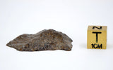 6.71g Acapulcoite Primitive Achondrite Meteorite  I NWA 17906