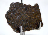 6.71g Acapulcoite Primitive Achondrite Meteorite  I NWA 17906