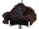 9.65g Acapulcoite Primitive Achondrite Meteorite  I NWA 17906