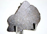 9.65g Acapulcoite Primitive Achondrite Meteorite  I NWA 17906