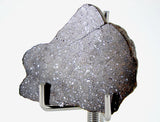 9.65g Acapulcoite Primitive Achondrite Meteorite  I NWA 17906