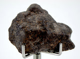 9.65g Acapulcoite Primitive Achondrite Meteorite  I NWA 17906