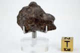 9.65g Acapulcoite Primitive Achondrite Meteorite  I NWA 17906