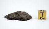 9.65g Acapulcoite Primitive Achondrite Meteorite  I NWA 17906