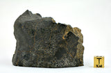 368.96g Unbrecciated Eucrite End Piece I HED I NWA 17927 Main Mass