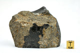 368.96g Unbrecciated Eucrite End Piece I HED I NWA 17927 Main Mass