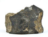 368.96g Unbrecciated Eucrite End Piece I HED I NWA 17927 Main Mass