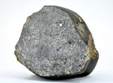 368.96g Unbrecciated Eucrite End Piece I HED I NWA 17927 Main Mass