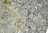27.96g Unbrecciated Eucrite Slice I HED I NWA 17927