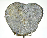 27.96g Unbrecciated Eucrite Slice I HED I NWA 17927