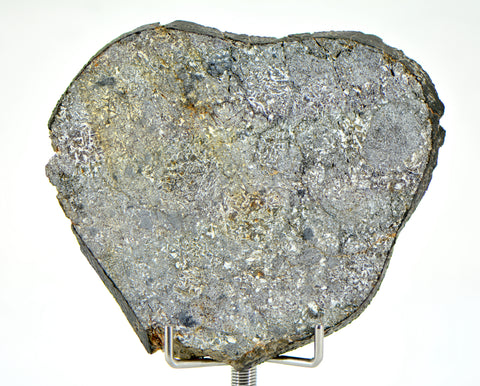 27.96g Unbrecciated Eucrite Slice I HED I NWA 17927