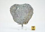 27.96g Unbrecciated Eucrite Slice I HED I NWA 17927
