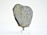 27.96g Unbrecciated Eucrite Slice I HED I NWA 17927