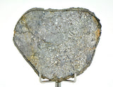 28.85g Unbrecciated Eucrite Slice I HED I NWA 17927