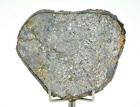 28.85g Unbrecciated Eucrite Slice I HED I NWA 17927
