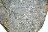 28.85g Unbrecciated Eucrite Slice I HED I NWA 17927