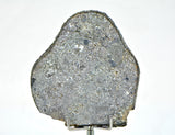 32.12g Unbrecciated Eucrite Slice I HED I NWA 17927