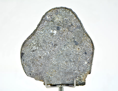 32.12g Unbrecciated Eucrite Slice I HED I NWA 17927