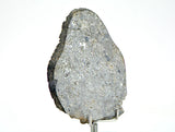 32.12g Unbrecciated Eucrite Slice I HED I NWA 17927