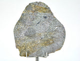32.12g Unbrecciated Eucrite Slice I HED I NWA 17927