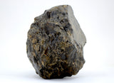 901.3g Eucrite Melt Breccia Main Mass I HED I NWA 18091