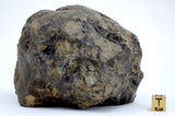 901.3g Eucrite Melt Breccia Main Mass I HED I NWA 18091