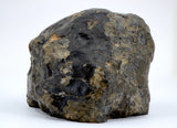 901.3g Eucrite Melt Breccia Main Mass I HED I NWA 18091