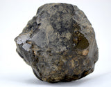 901.3g Eucrite Melt Breccia Main Mass I HED I NWA 18091