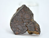 2.79g CR2 Carbonaceous Chondrite Meteorite Slice I NWA 7020