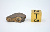 2.79g CR2 Carbonaceous Chondrite Meteorite Slice I NWA 7020