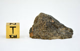 7.5 gram Eucrite HED Achondrite | NWA 7334 I Beautiful with some Crust I Top Quality