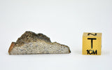 7.5 gram Eucrite HED Achondrite | NWA 7334 I Beautiful with some Crust I Top Quality