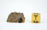 7.5 gram Eucrite HED Achondrite | NWA 7334 I Beautiful with some Crust I Top Quality