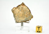 14.1g EL6 Enstatite Chondrite Meteorite I NWA 7401