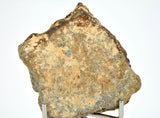 14.1g EL6 Enstatite Chondrite Meteorite I NWA 7401