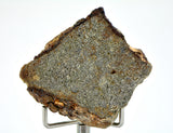 14.1g EL6 Enstatite Chondrite Meteorite I NWA 7401