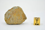 20.86g EL6 Enstatite Chondrite Meteorite I NWA 7401