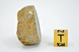 20.86g EL6 Enstatite Chondrite Meteorite I NWA 7401