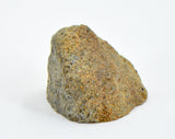 3.83g EL6 Enstatite Chondrite Meteorite I NWA 7401